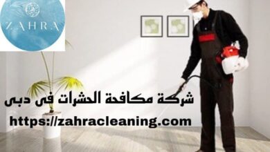 صورة شركة مكافحة الحشرات في دبي
