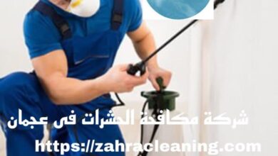 صورة شركة مكافحة حشرات في عجمان