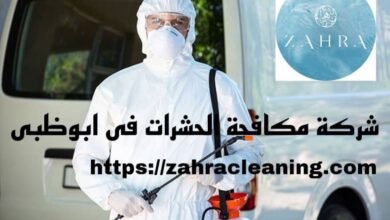 صورة شركة مكافحة الحشرات ابوظبي