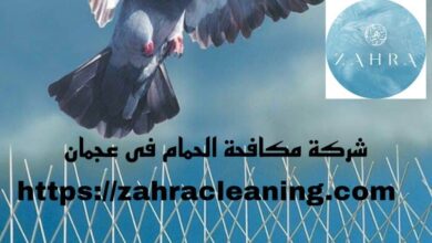 صورة شركة مكافحة الحمام عجمان خصم 40%