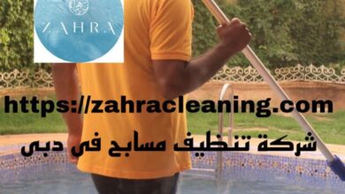 صورة شركة تنظيف مسابح في دبي