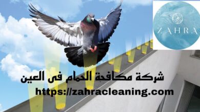 صورة شركة مكافحة الحمام العين خصم 40%